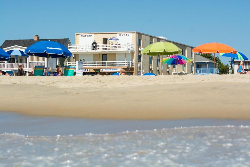 Safari Hotel Boardwalk Main image 1